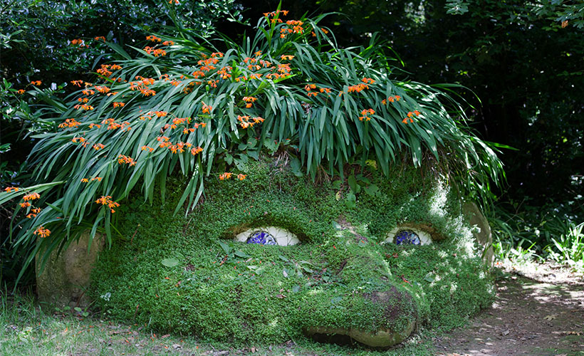 A grass head with plants growing out the top resembling hair in the Lost Gardens of Heligan in Cornwall