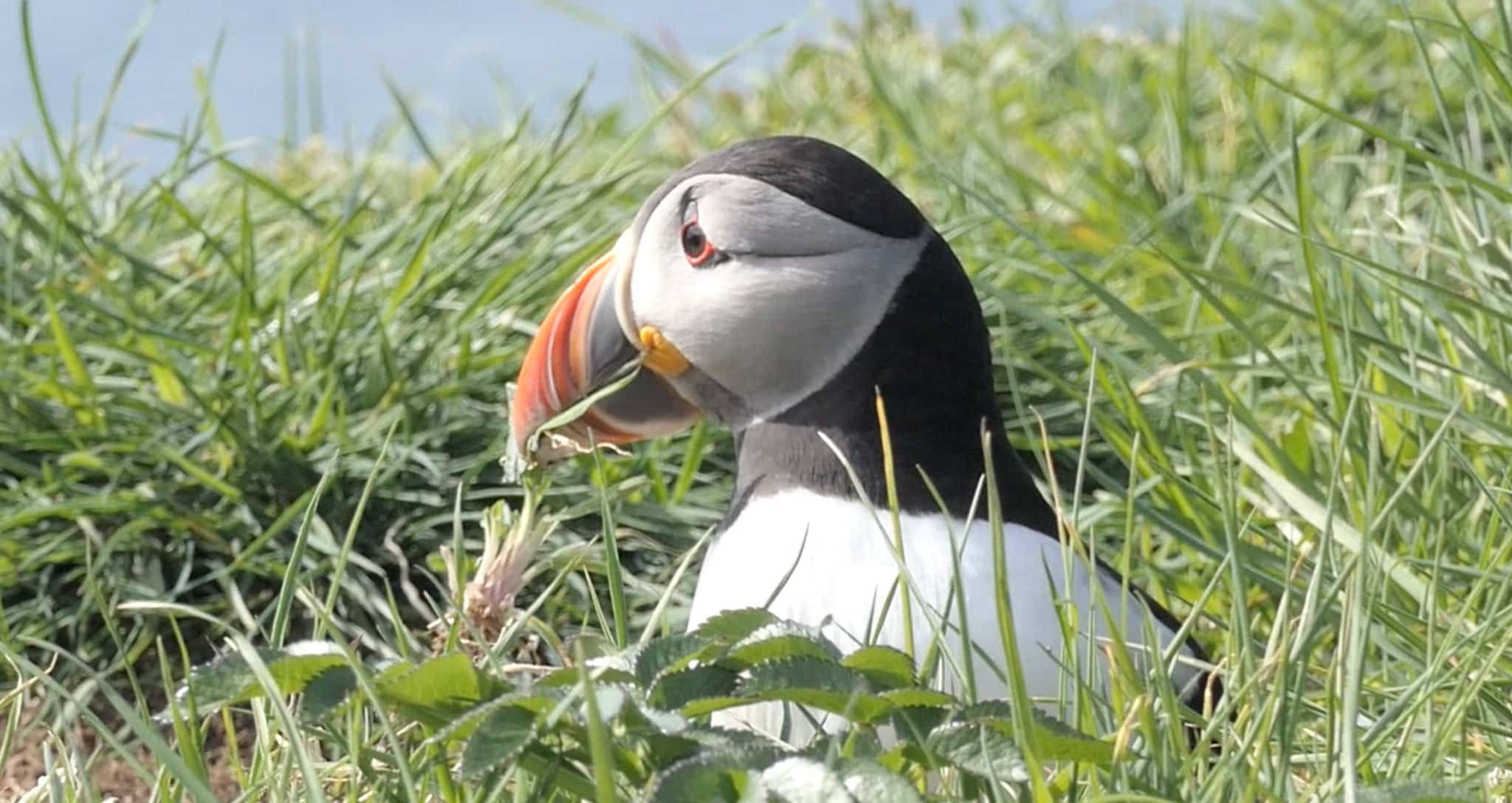 Springtime Surprise Cruise Log