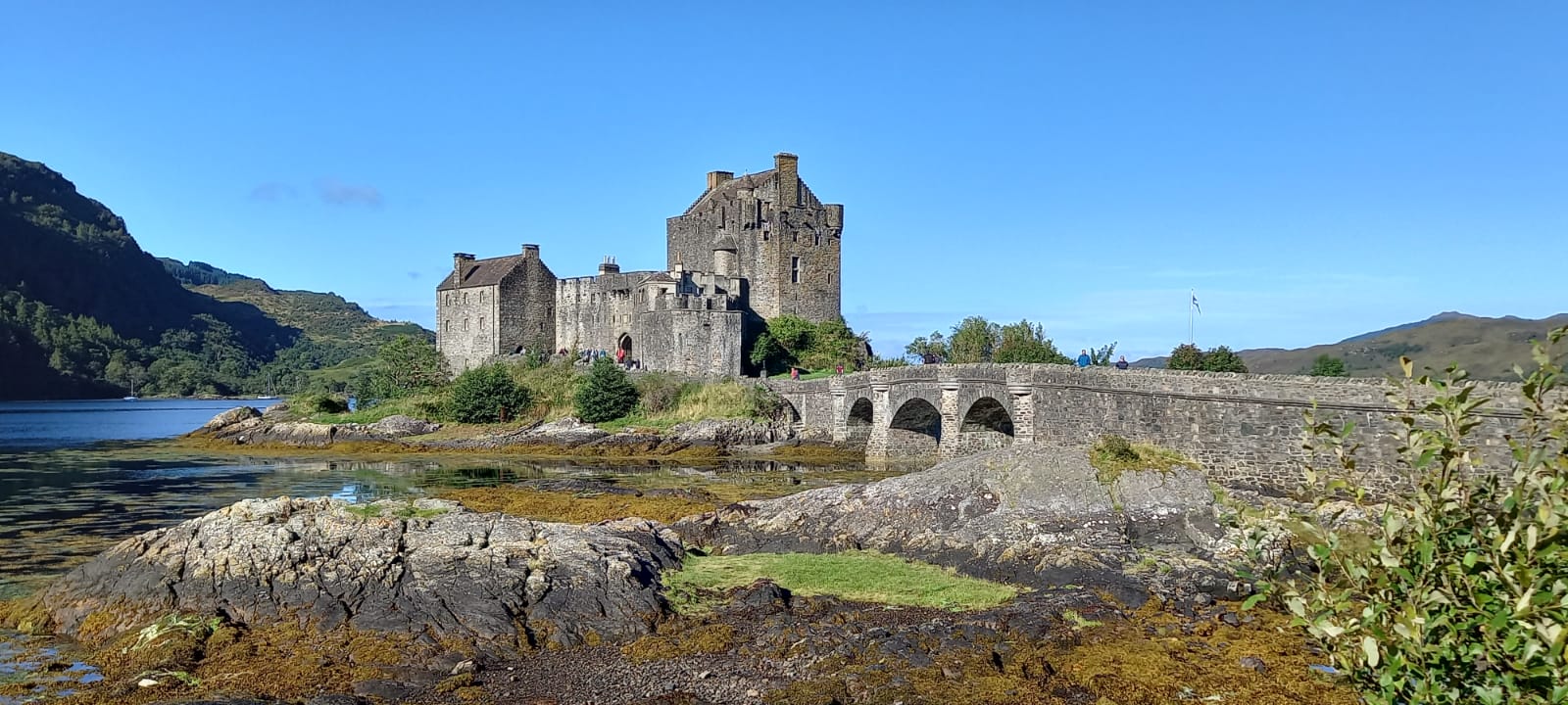 Summer Sampler Cruise Log