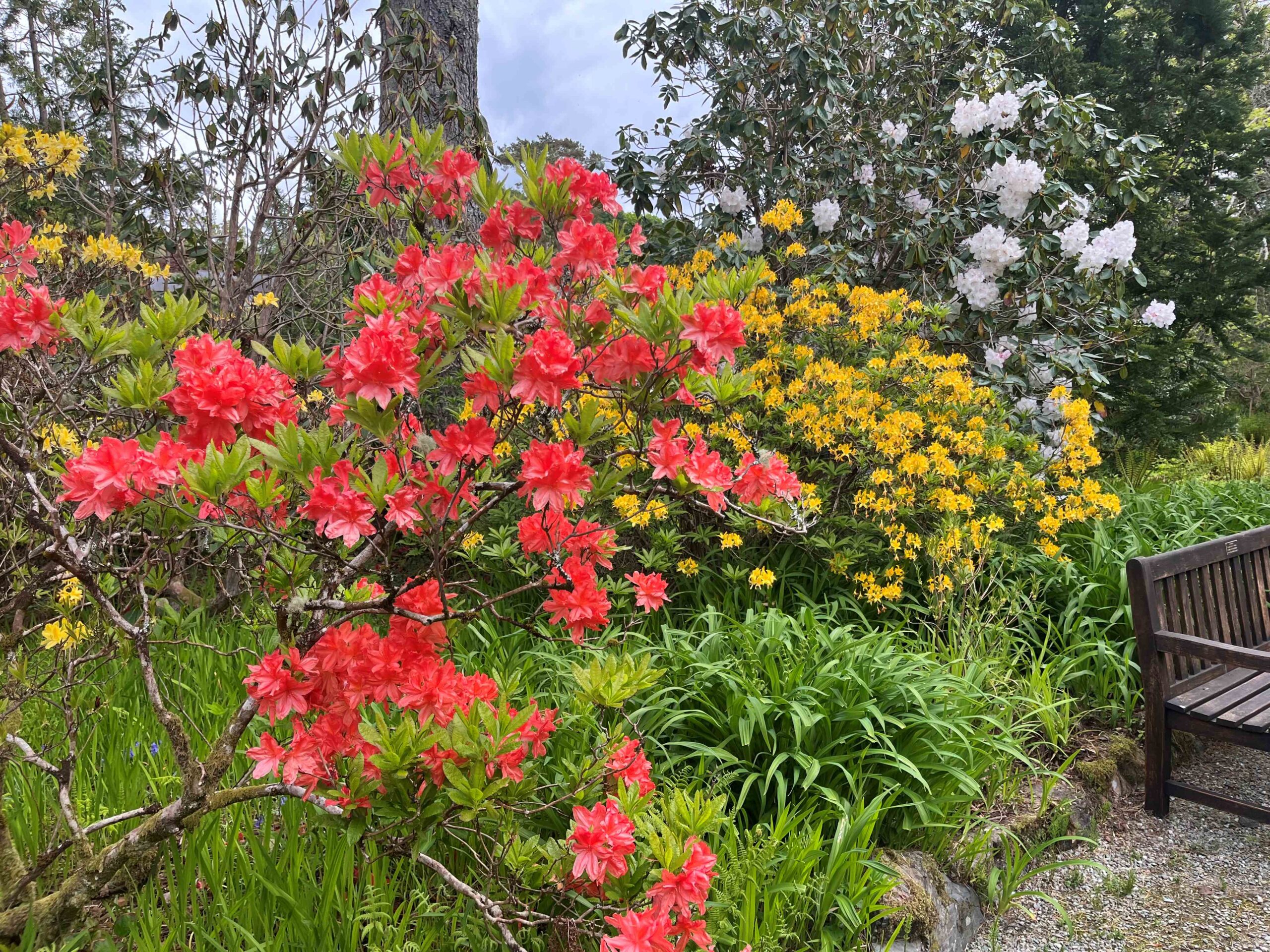 Botanical Wonders of the West Coast