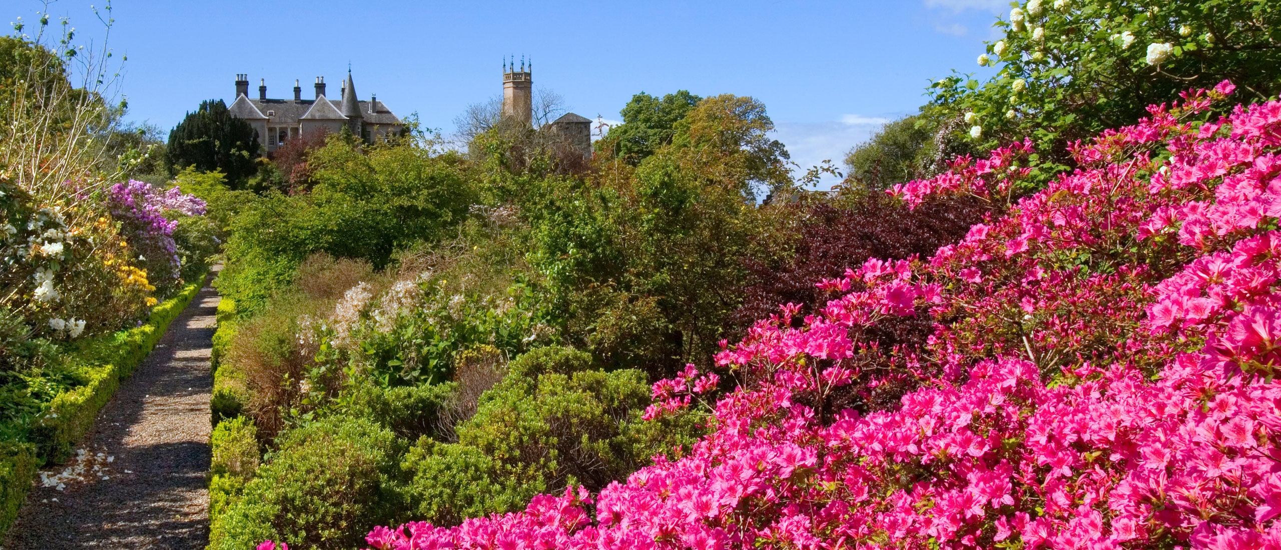 Blooming Wonders of the West Coast