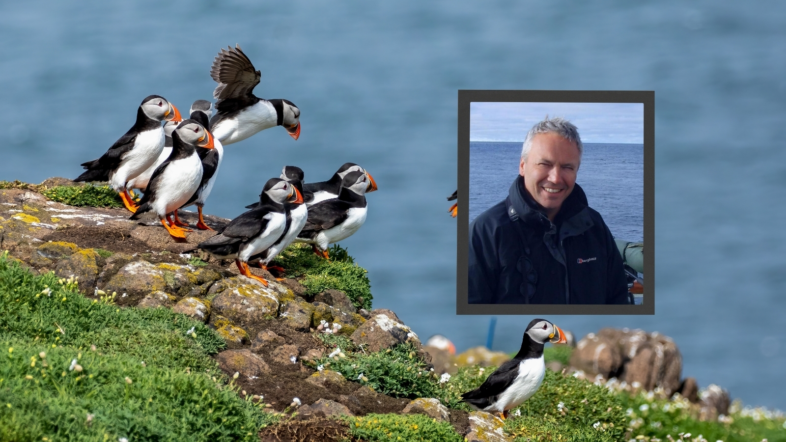 Highland Wildlife Safari with Darren Rees