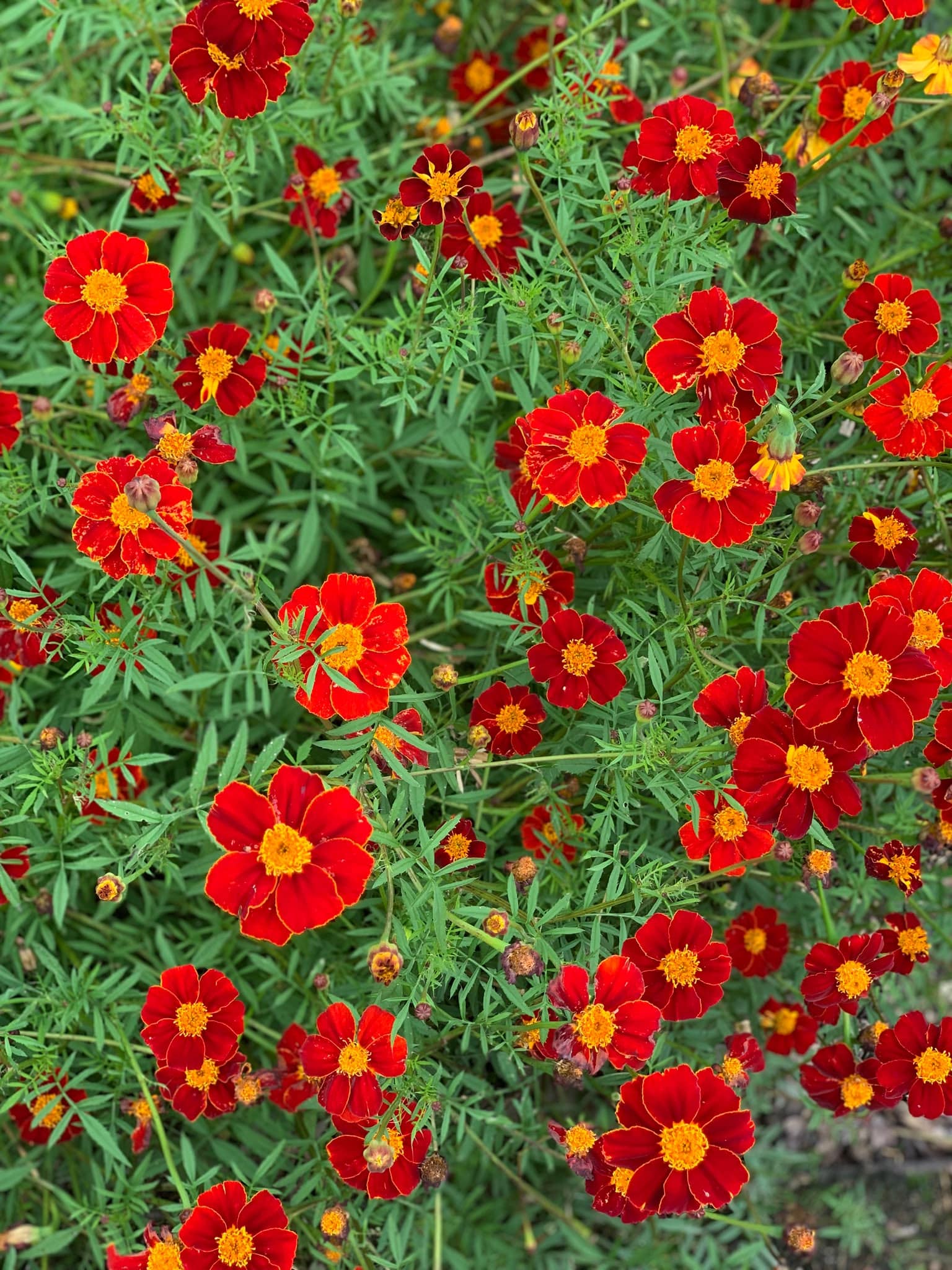 Wester Ross and the Western Isles